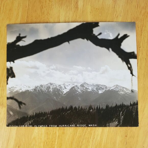 Olympic Mountains  Official US Army Air Corps Vtg Photo Fort Lewis  9.5x7.5 - Picture 1 of 2